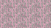 14003-BLP