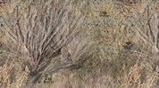 14003-BR
