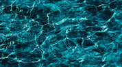 14003-SW