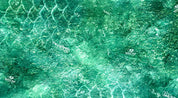 14003-TR