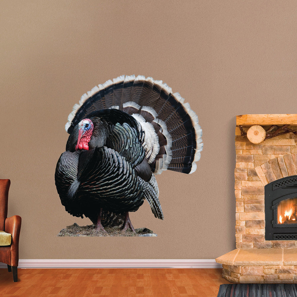 Strutting Merriam Wild Turkey - Cutout – Mossy Oak Graphics