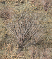 14003-BR