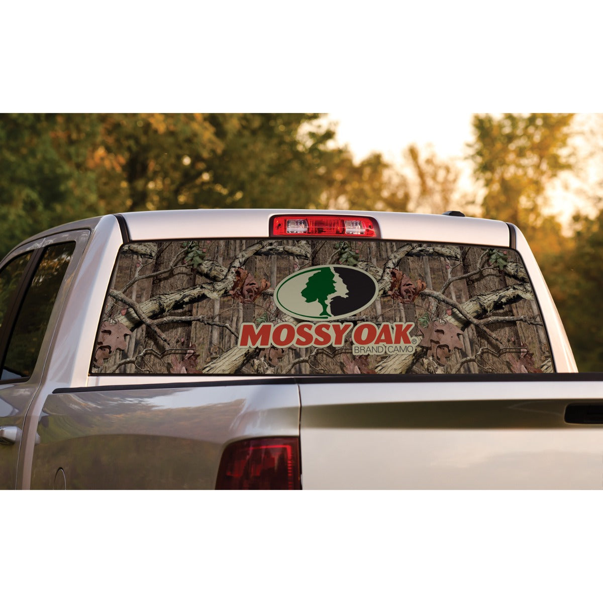Rear Window Graphics