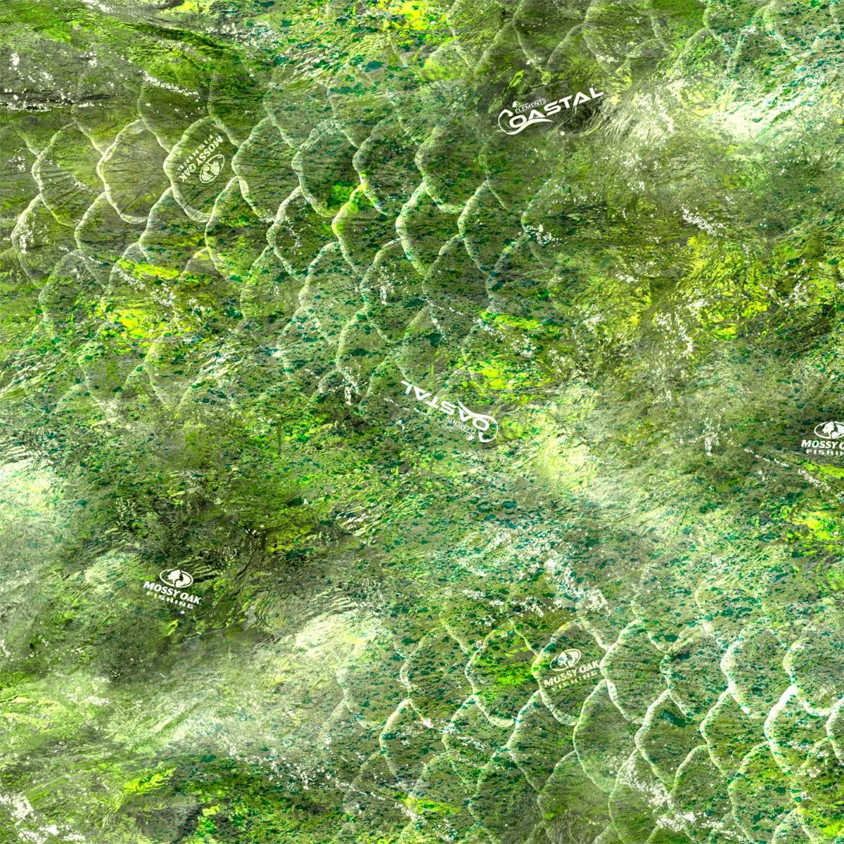 14001-24-MA