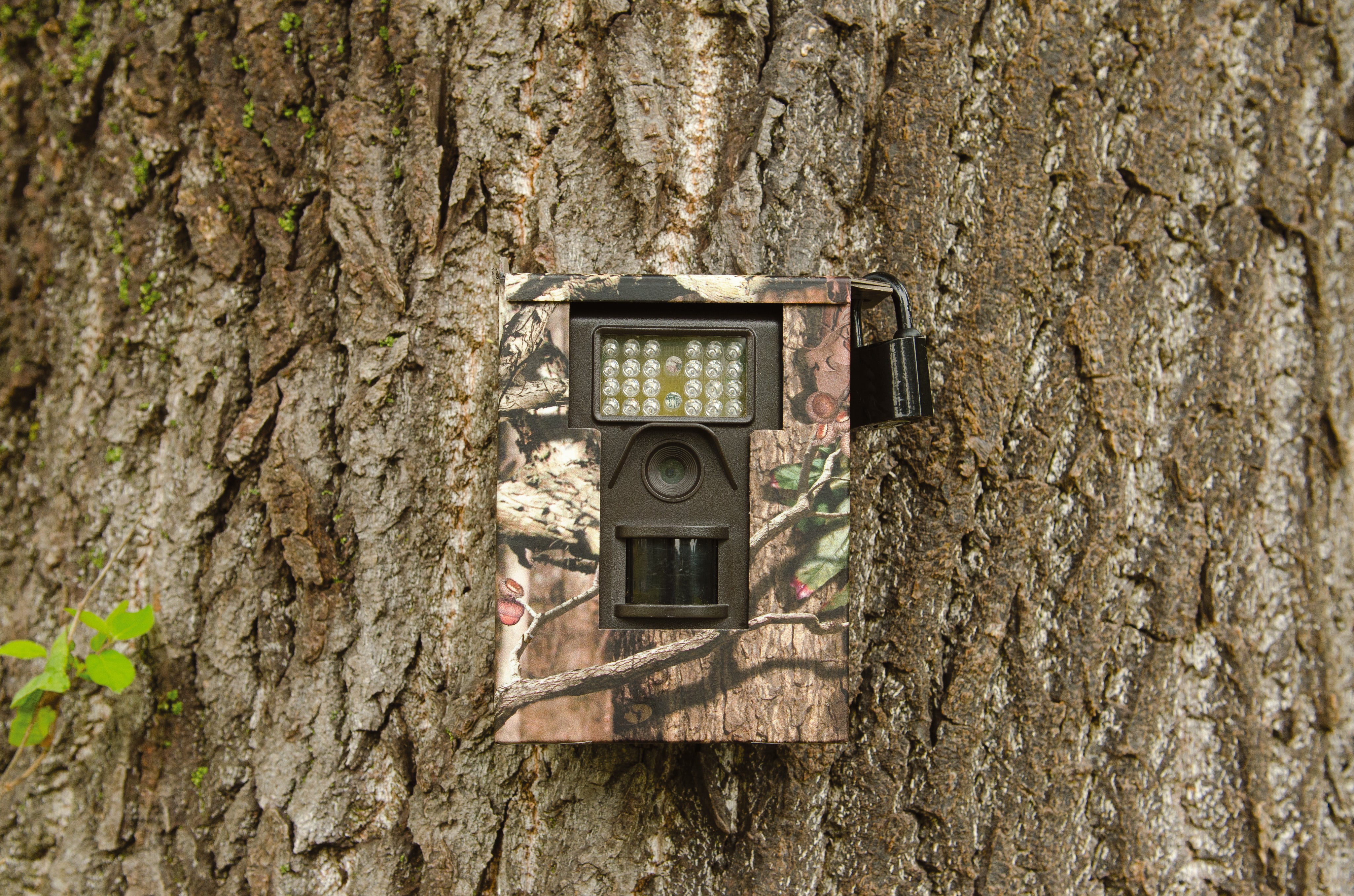 EJ.life Caméra de Trail Infrarouge Etanche 1080P 12MP HD pour Chasse EJ.life Caméra de Trail Infrarouge Etanche 1080P 12MP HD pour Chasse
