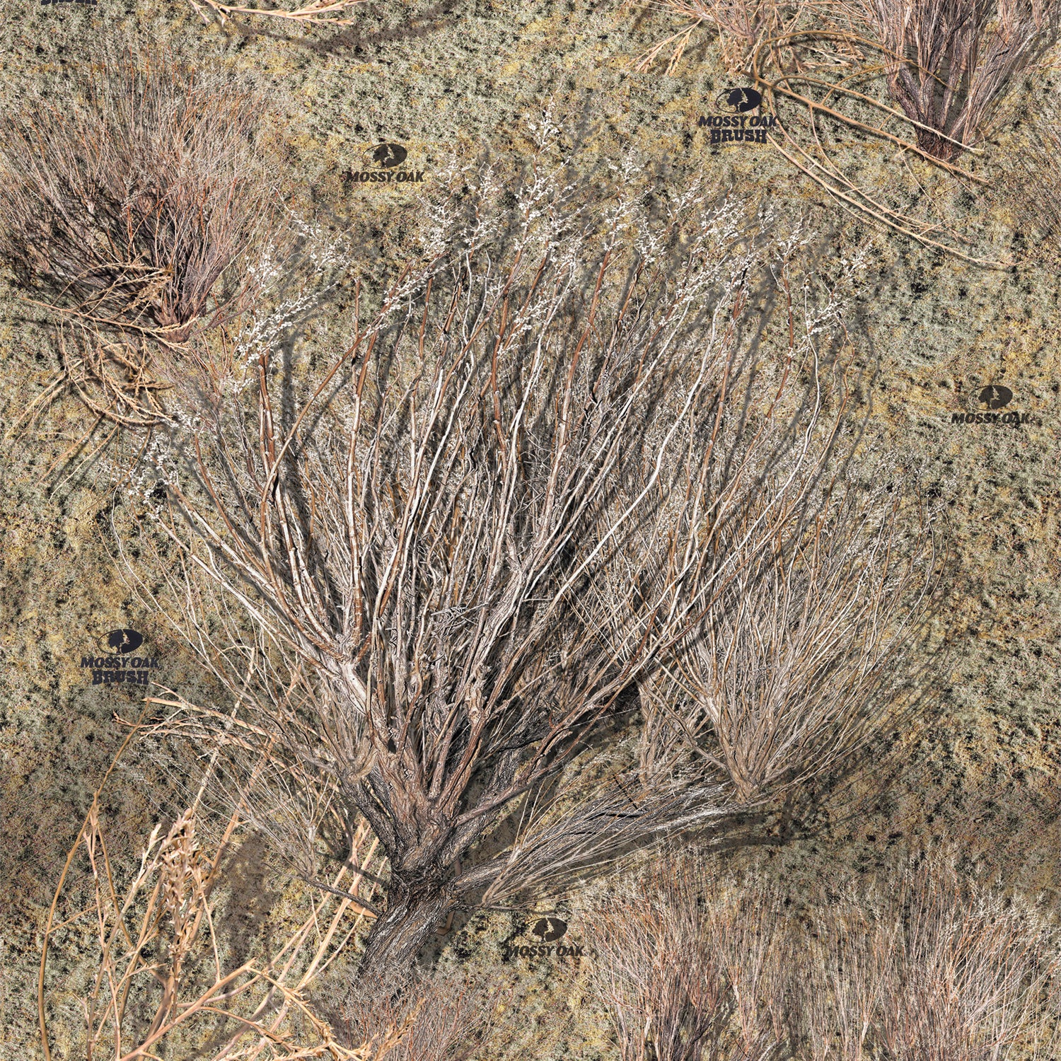 Brush