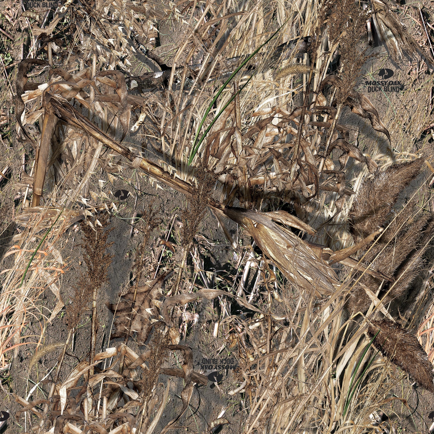 Duck Blind