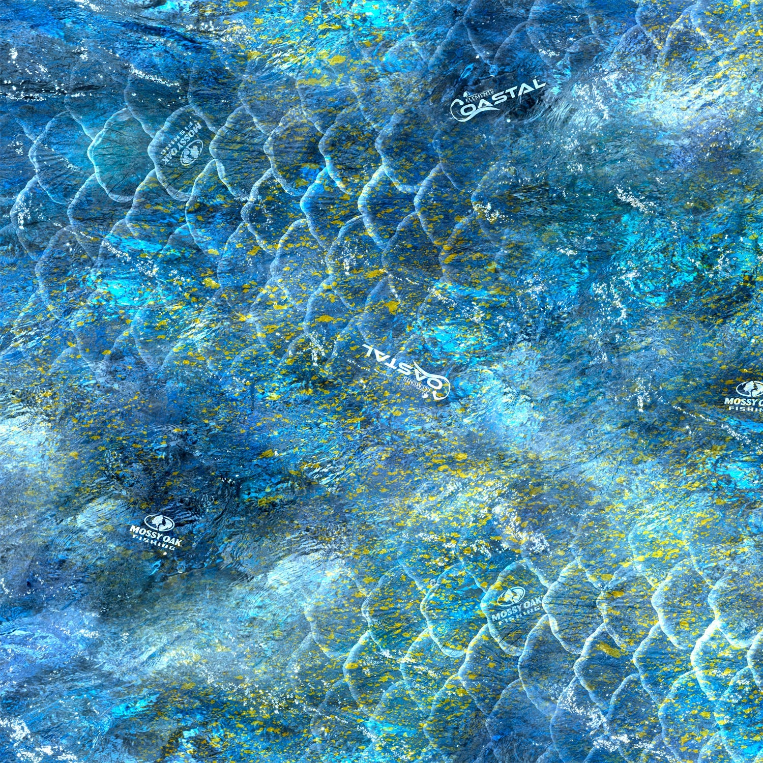 Elements Coastal Shoreline