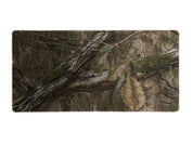PAD-1231-1_DNA