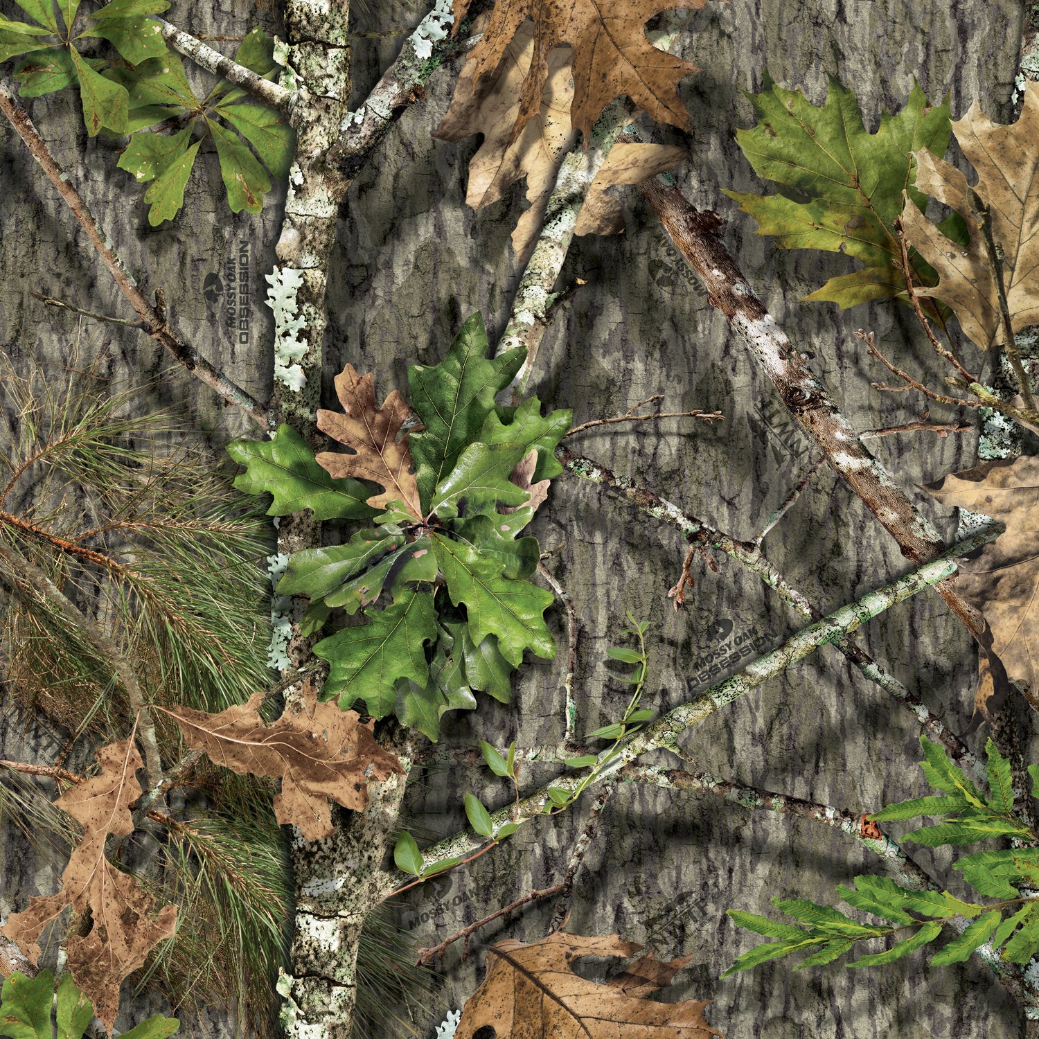 NWTF Obsession