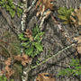 NWTF Obsession