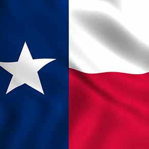 Texas State Flag