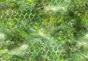 10008-FF-MA