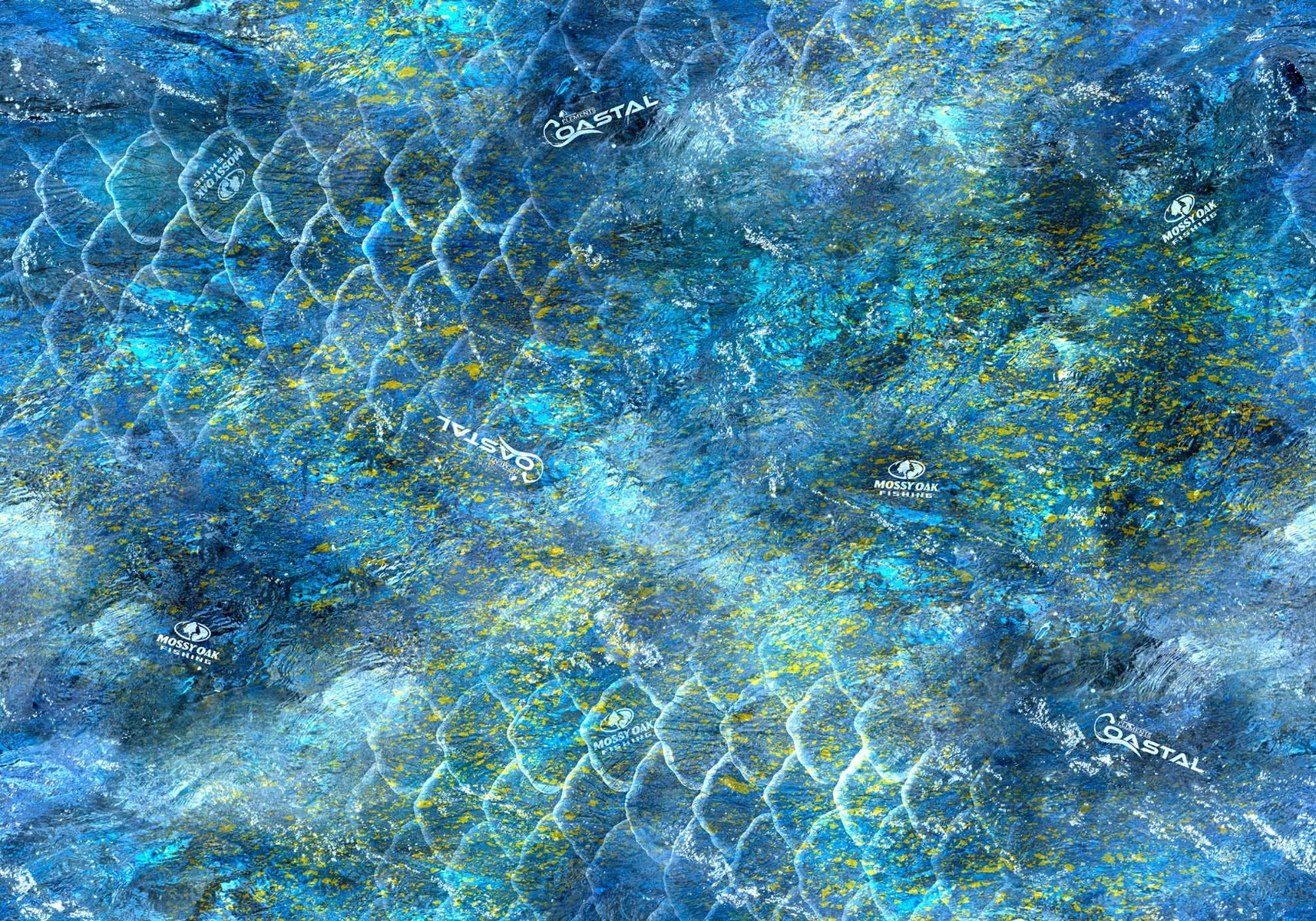 10008-FF-Elements Coastal Shoreline