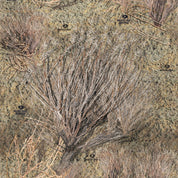 14004-BS-BR