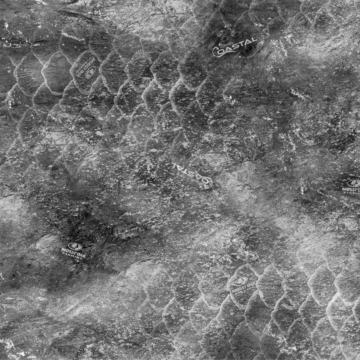 10002-CT-CB