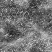 10002-CT-CB