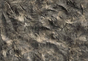 10008-WV-OW