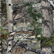 Mossy Oak Graphics Mountain Country camo pattern.