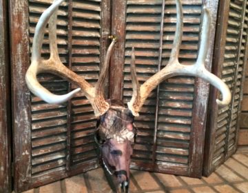 Mossy Oak Graphics 10013-DB Camouflage 45 x 8 Duck Blind Torn Metal Stripe Mossy Oak Graphics 10013-DB Camouflage 45 x 8 Duck Blind Torn Metal Stripe